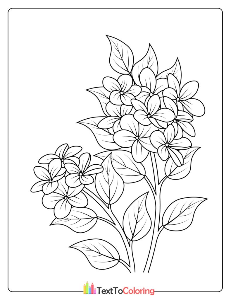 Blooming Flower Coloring Page