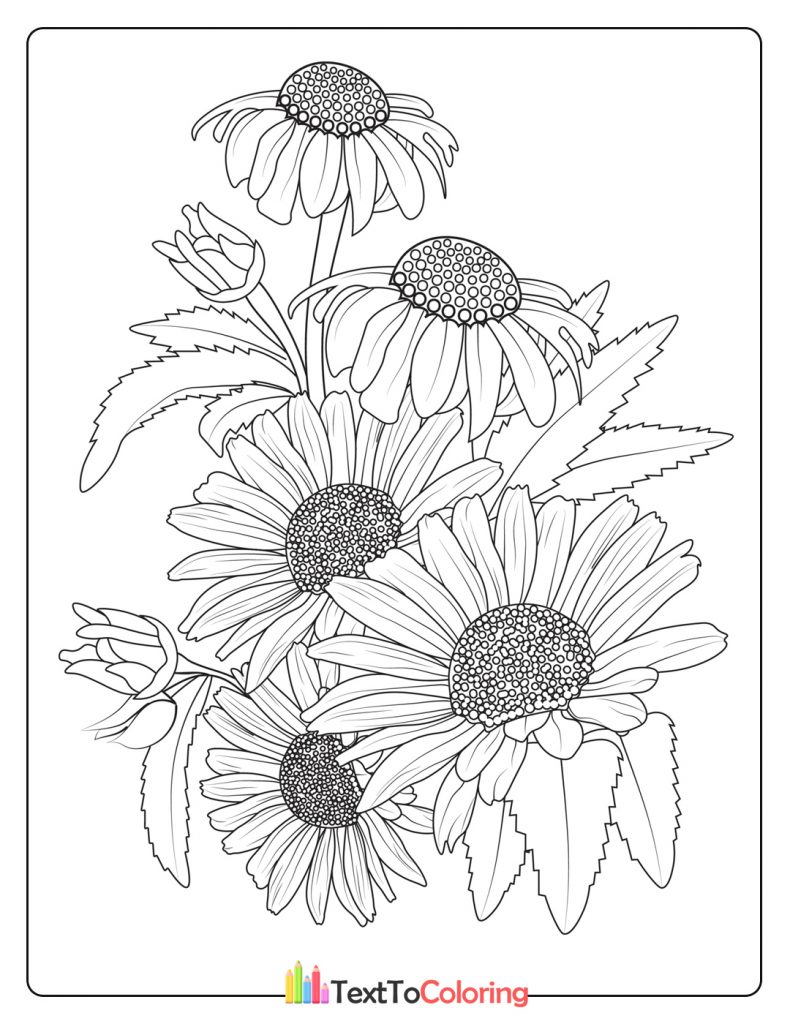 Bouquet Of Daisy Flower