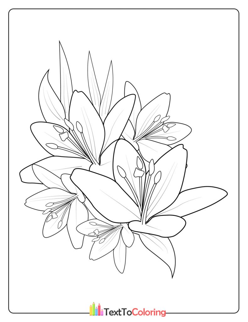 Bouquet Of Frangipani Flower