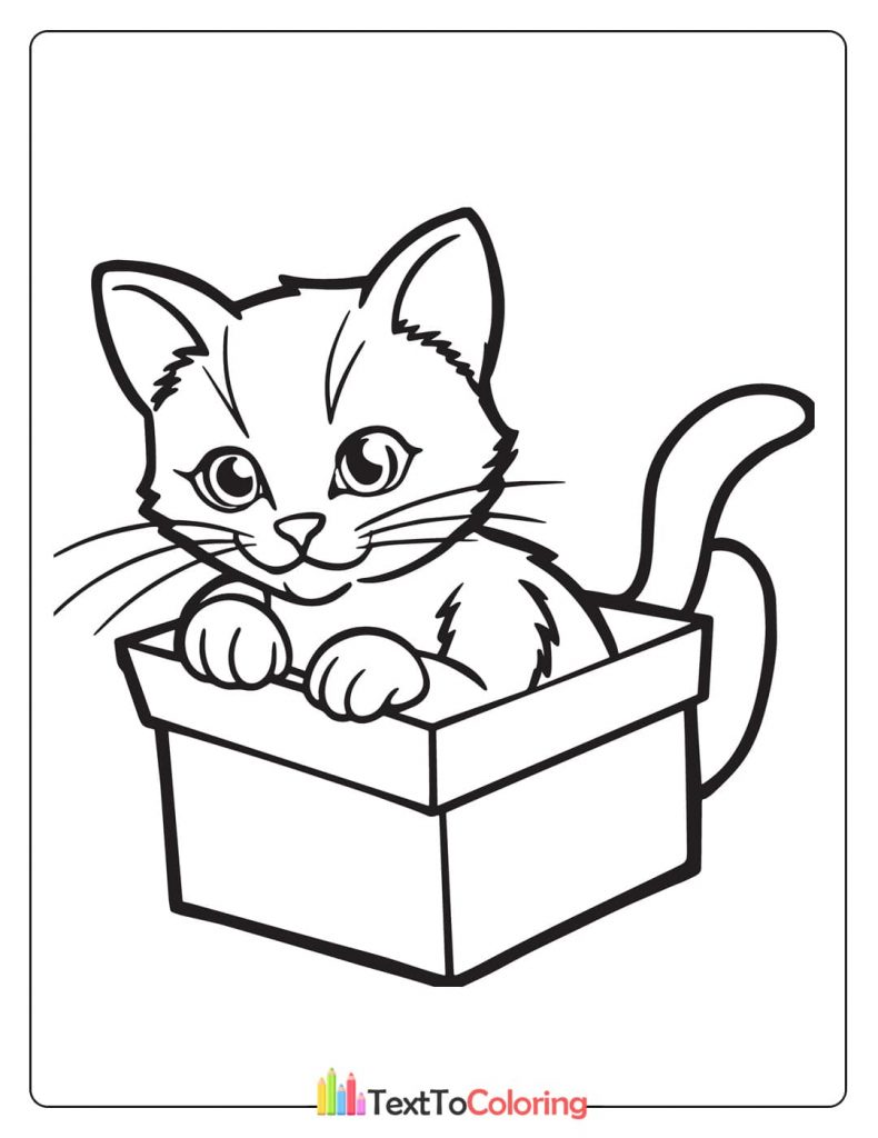 A funny coloring page of a curious kitten with big eyes peeking out from the top of an open box.
