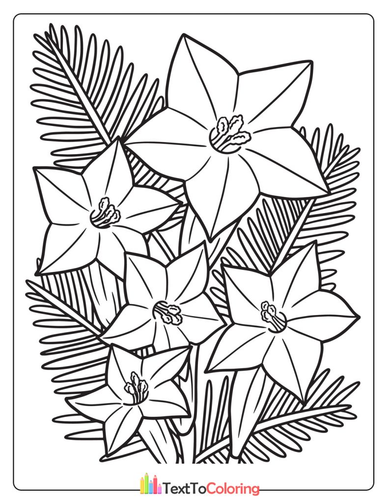 Cypress Flower Coloring Page