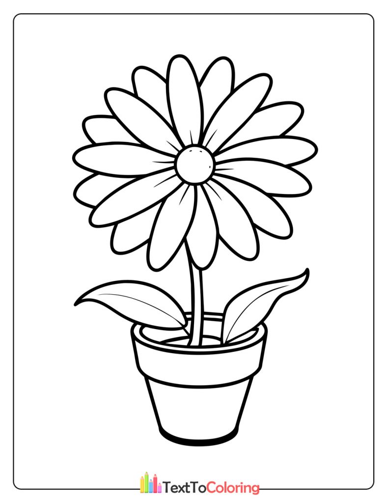Daisy Flower Plant Coloring Page