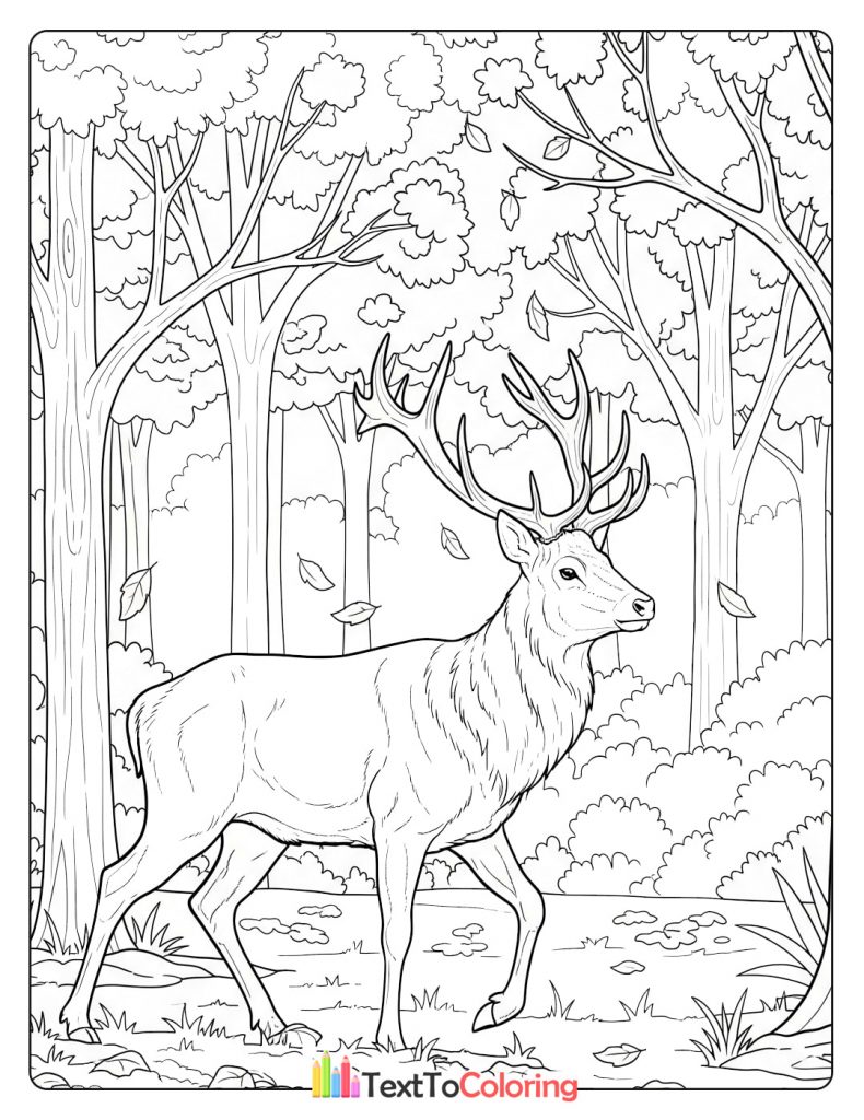 Stag standing among tall trees in a quiet forest scene.