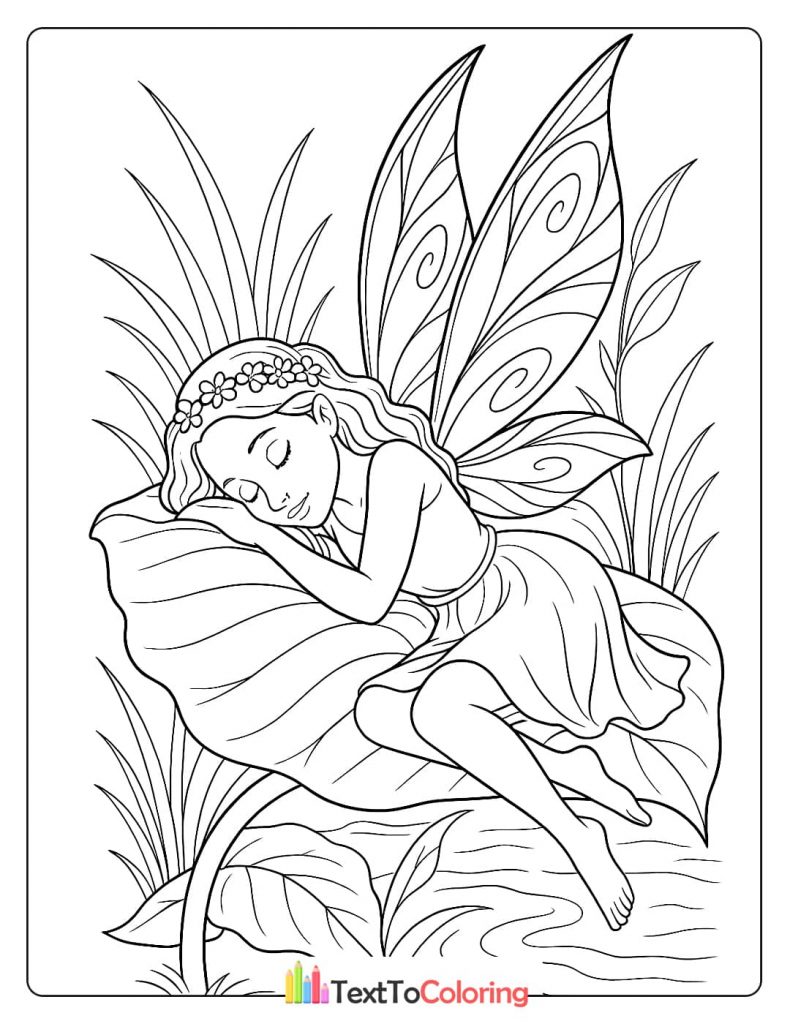 A peaceful coloring page of a fairy sleeping soundly on a large leaf over a calm body of water.