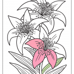 Flowers Coloring Pages
