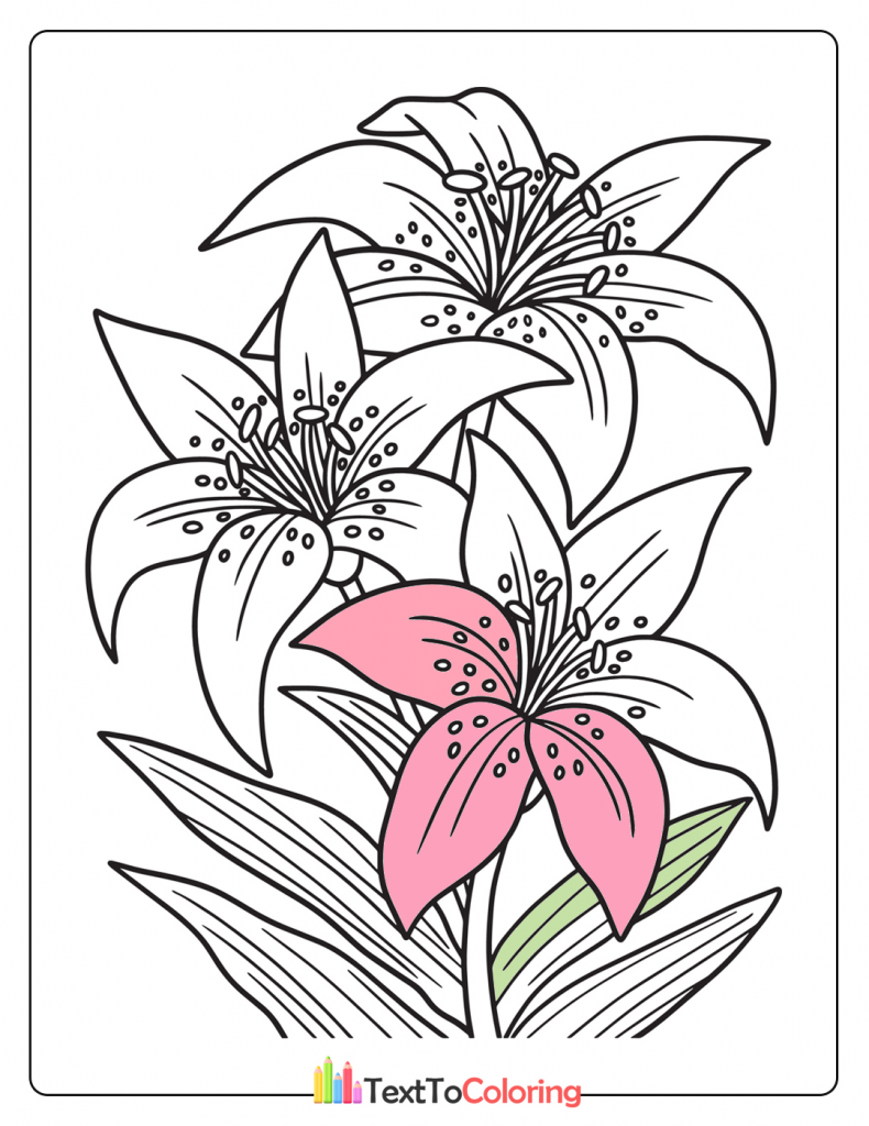Flowers Coloring Pages