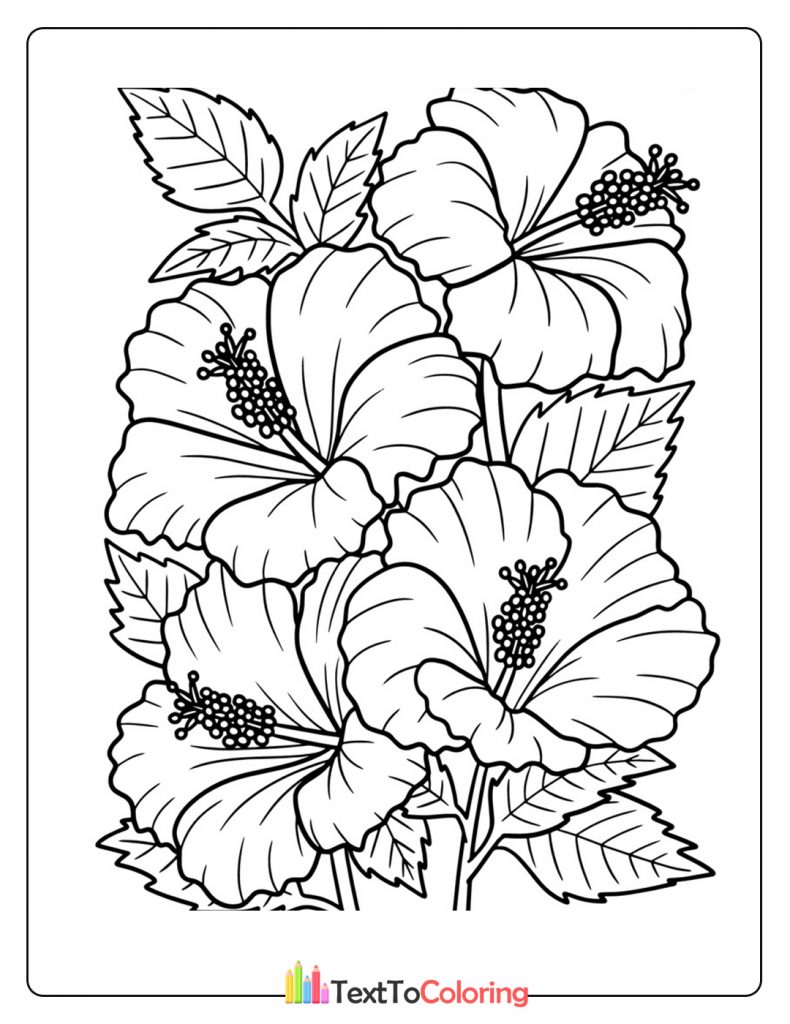 Hibiscus Flower Coloring Page