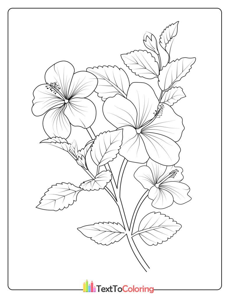 Hibiscus Flower In Branch