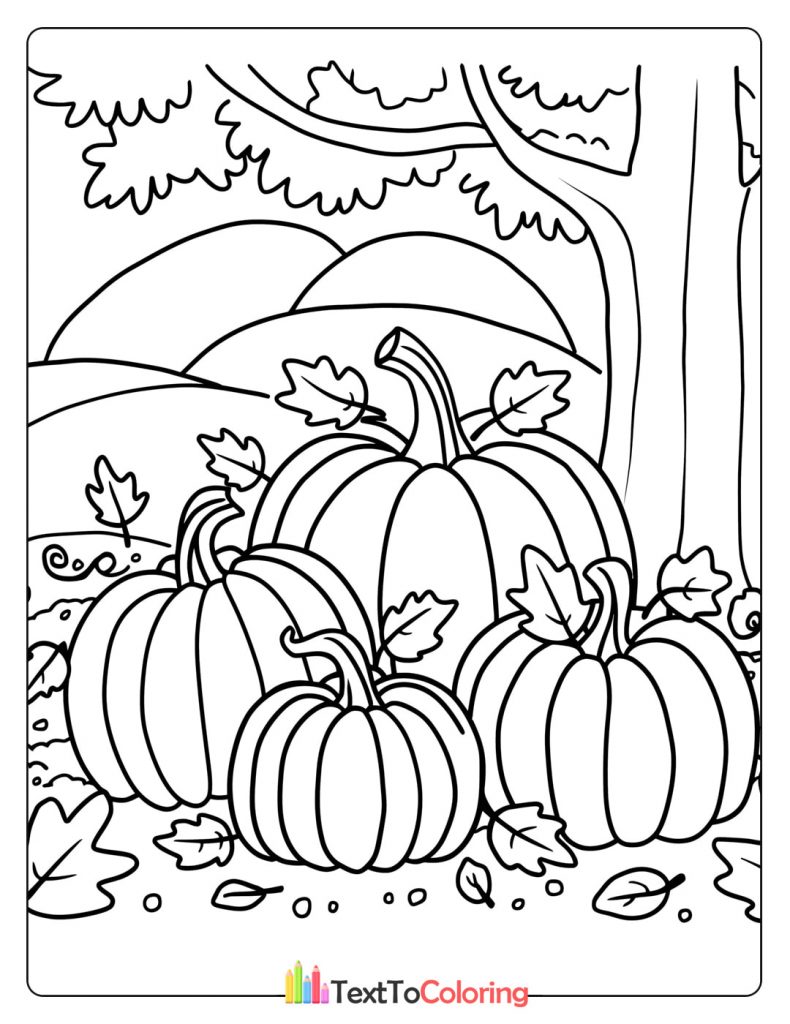 Field filled with pumpkins under a bright autumn sky.