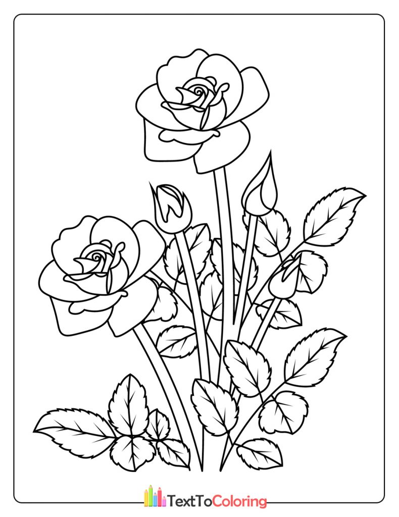 Rose Flower Coloring Page