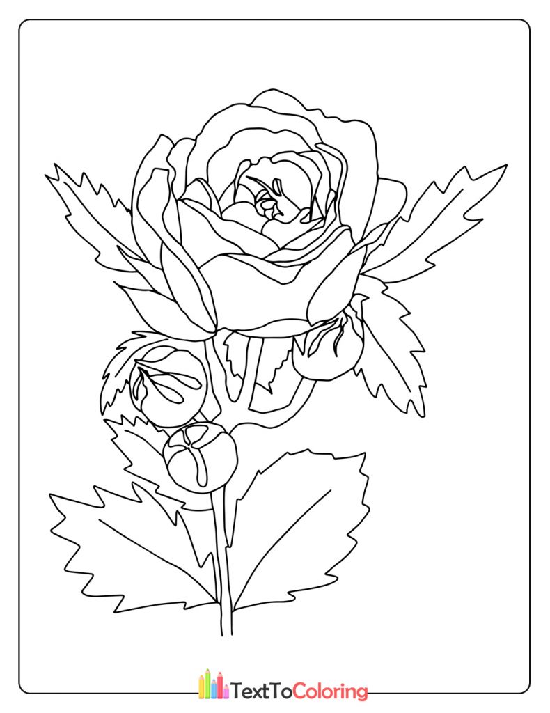Roses Open And Closed Buds With Leaves