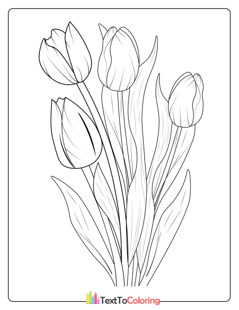 Tulip Flower Coloring Page