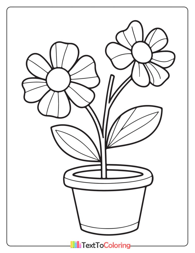 Two Flowers In Vase