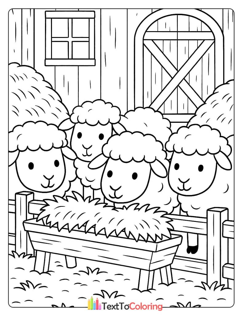 A black and white coloring page of a group of four fluffy sheep eating hay from a feeder in front of a barn.