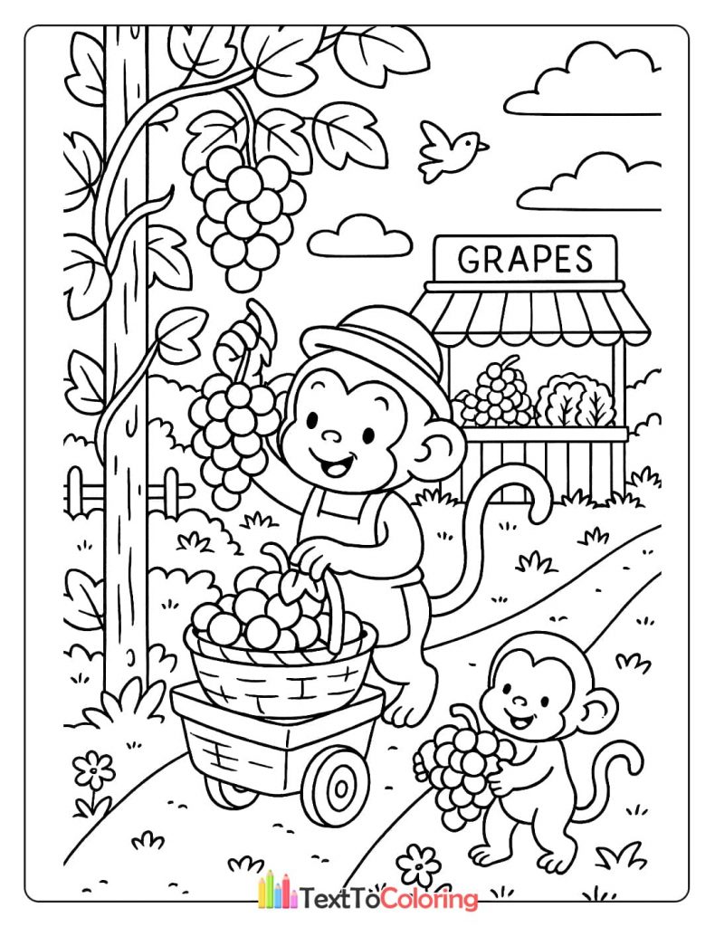 A printable coloring page of two monkeys harvesting and selling bunches of fresh grapes from their market stand.