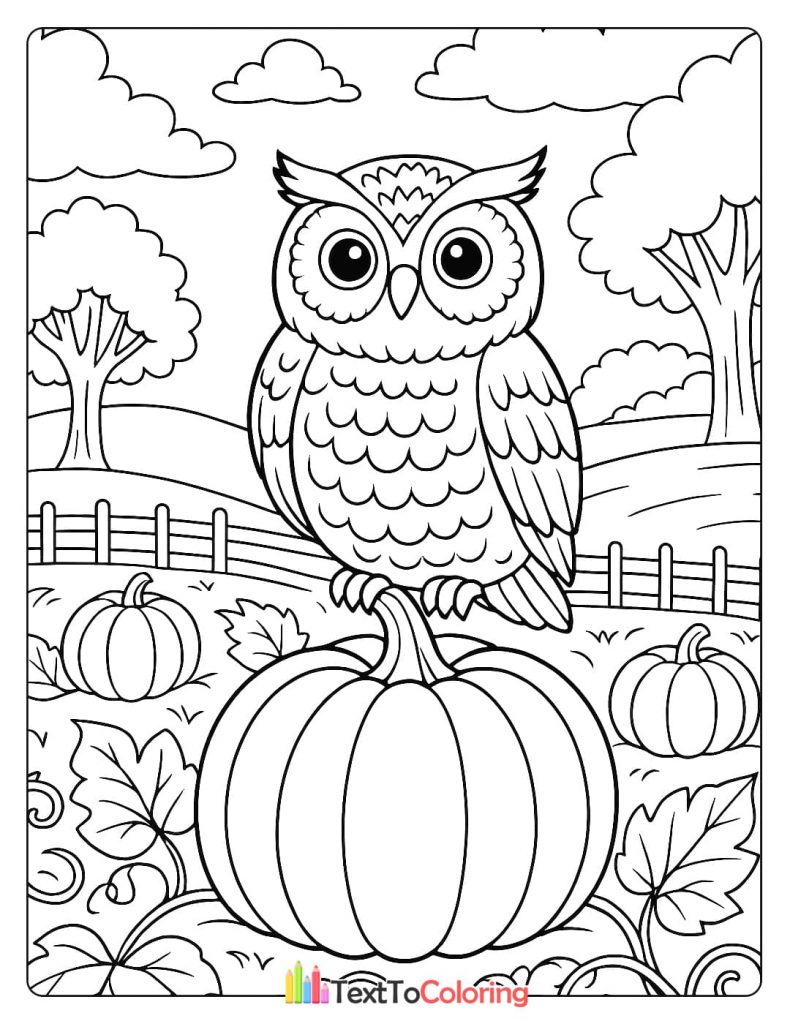 A wise owl is perched on top of a pumpkin in a pumpkin patch.