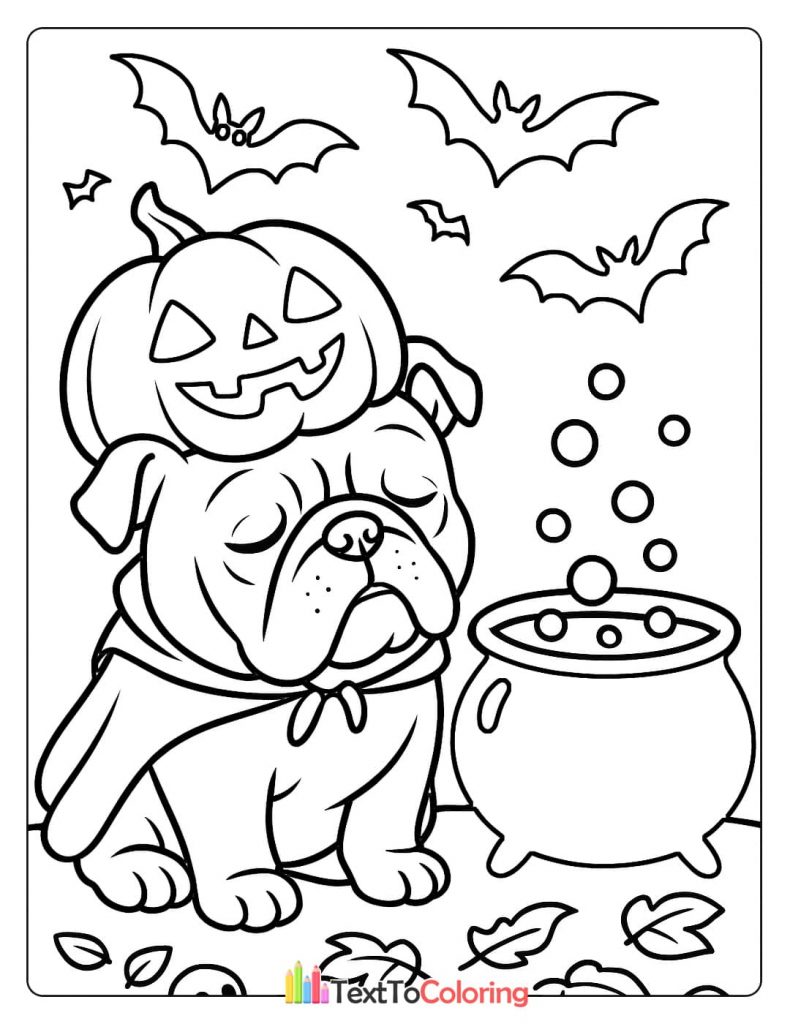 Grumpy bulldog in a cape with a pumpkin on his head sitting next to a cauldron and flying bats Halloween coloring